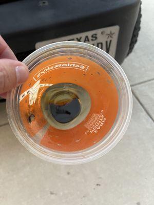 Oil in a cup that was left in my engine