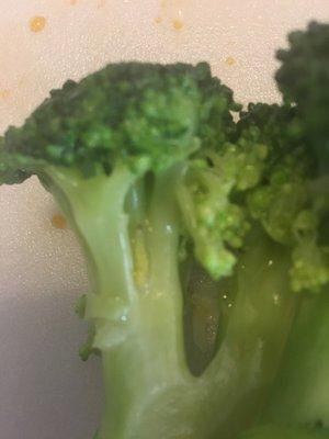 Yes, this is a worm in the broccoli from Nori Japan at Manassas Mall.