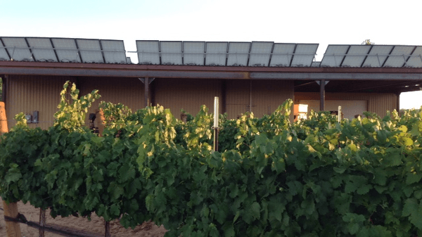 Winery is 100% Solar