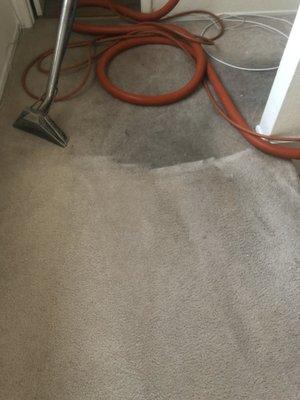 To see the difference between clean and dirt carpet