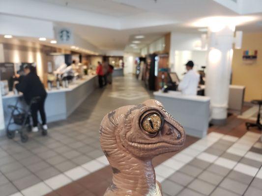 Bob the Raptor says "This is the cafeteria!"