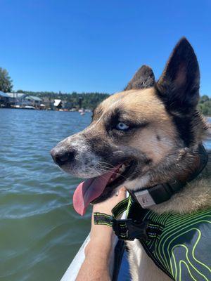 55 lbs in tandem kayak