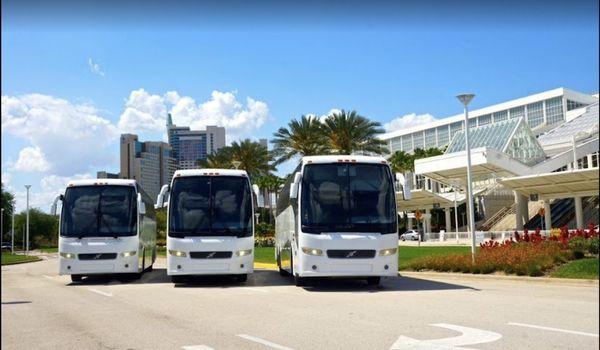 Coach Buses @ Orange County Convention Center.. 57 Passengers