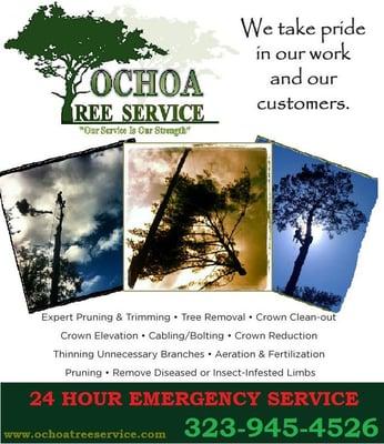 Ochoa Tree Service