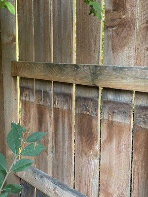 Gaps in fence