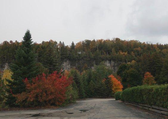 Believe it or not, this is the view going into their back parking lot.