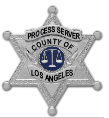 Registered Process Server