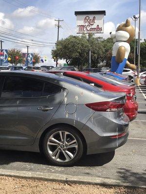 They wanna sell cars with BIRD POOP!!!