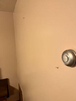 Thumbtacks in the wall for some reason?