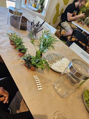 Build Your Own Terrarium session