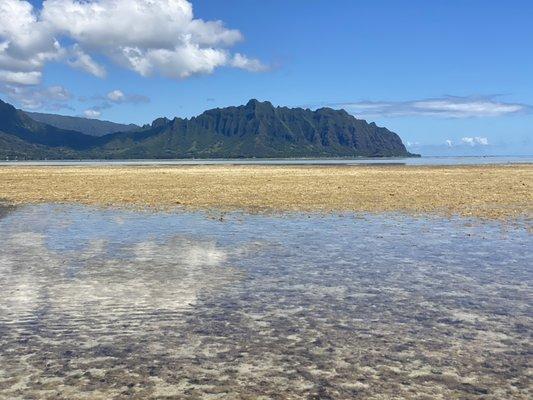 Sandbar