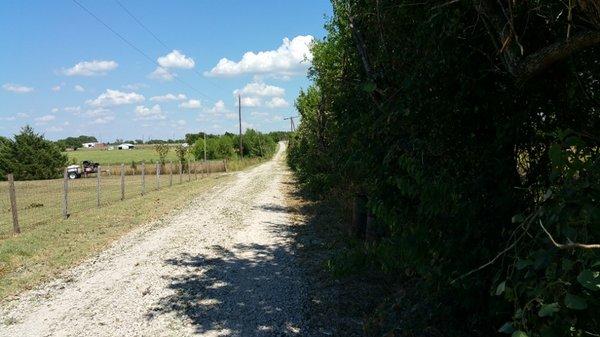 Clear Land after roadside tree and branch trimming with a Limb Beaver skid steer attachment.