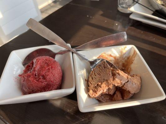 A happy ending! Raspberry sorbet & Cow-pie ice cream