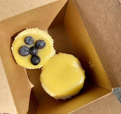 lemon and blueberry mini cheesecake