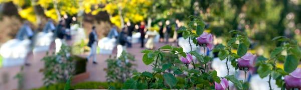 Event Garden Trimming is one of our favorite projects.  We make your event a memory.