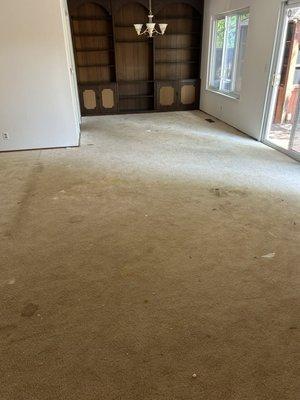 BEFORE: Floor covered with Carpet