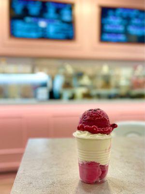 Strawberry- vanilla ice cream- wild blueberry combo