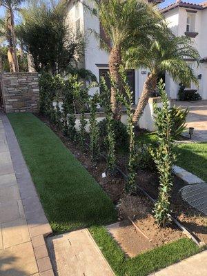 Artificial grass by Thunder Masonry.