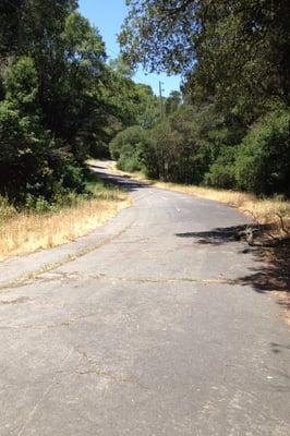 Paved road that goes on to infinity