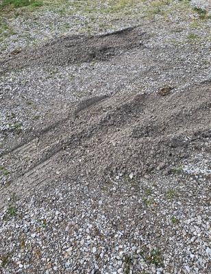 Our gravel driveway