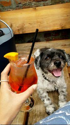 aperol spritz (dog not included)