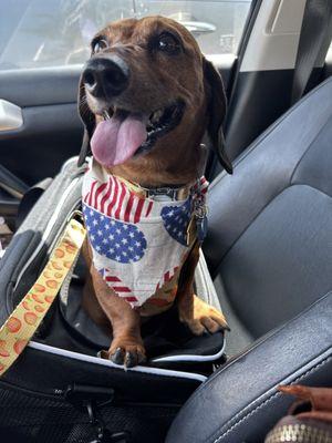 Showing off her nice new bandanna