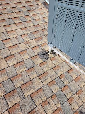 Shingle life depleted by poor workmanship