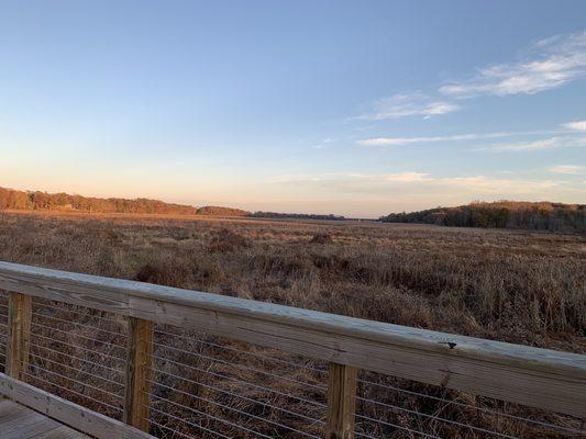 View from boardwalk east