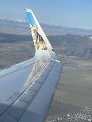 We had a nice flight coming to SLC from PHOENIX, but flying home we were charged for one of our carry ons! The same carry ons