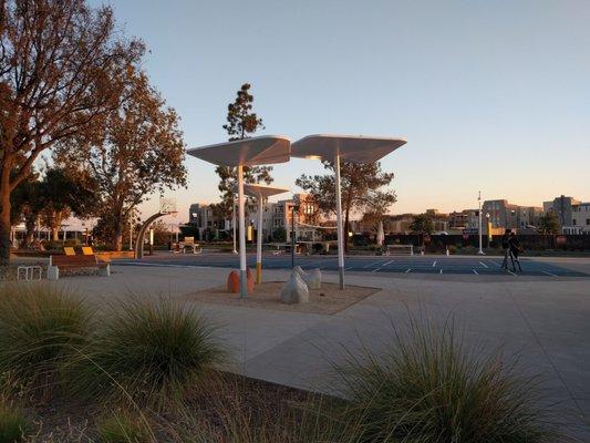 Basketball court