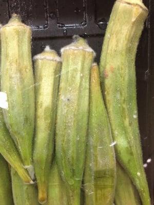 Moldy okra 9/30/14. This was just the front package, but all of them were bad. Shame on you!