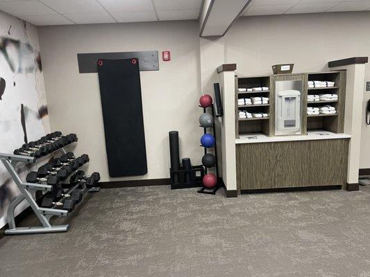 Fitness room (weights and towels)