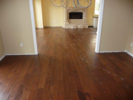 maple hardwood floor.