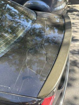 Constantly getting your cars vandalized By people in the apartments or homeless people. 11 cars broken into in one year