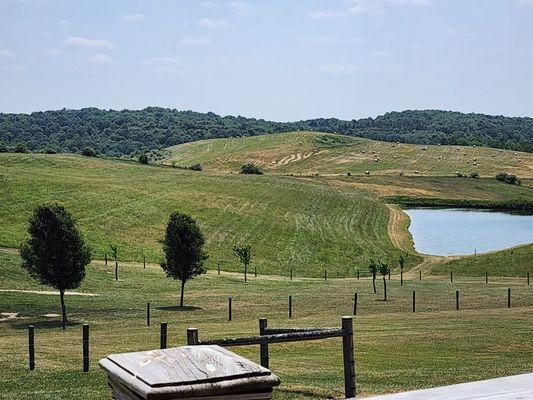 Yellow Butterfly Winery