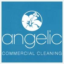 Angelic Commercial Cleaning Services