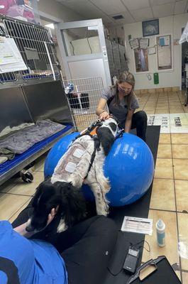 Dr. Kristy performing rehabilitation therapy at a specialty hospital on a patient after spinal surgery.