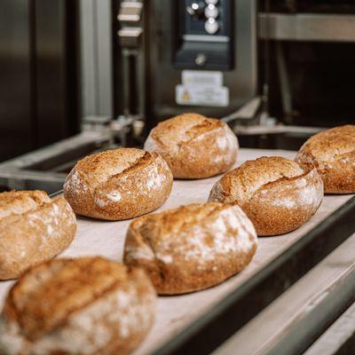 House Sourdough