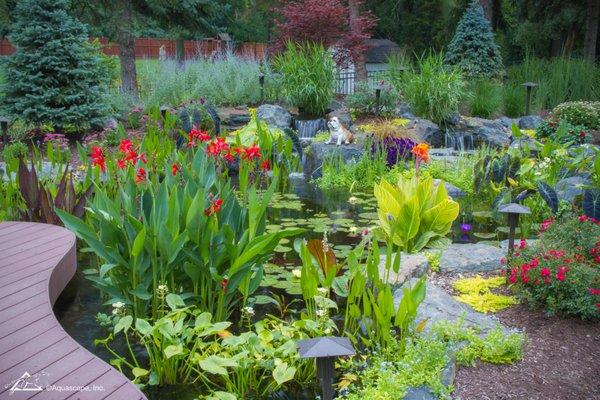 Regular plant trimming keeps your pond healthy!  Maintain water flow & clarity for thriving Florida ponds. www.FLCustomAquatic.com