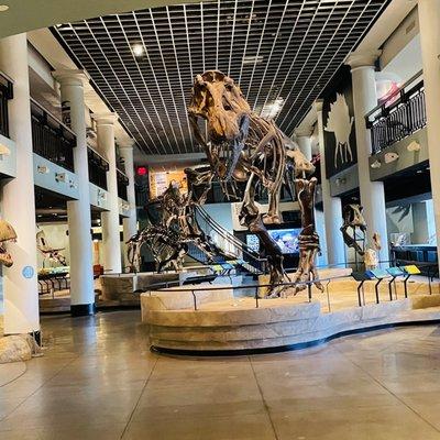 Dinosaur exhibit