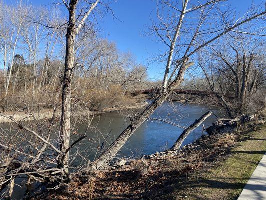 Boise River at Boise State