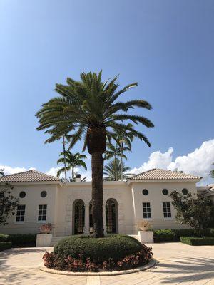 South Florida Tropical Tree Care and Landscape Services