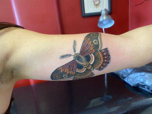 Moth by Travis Campion.