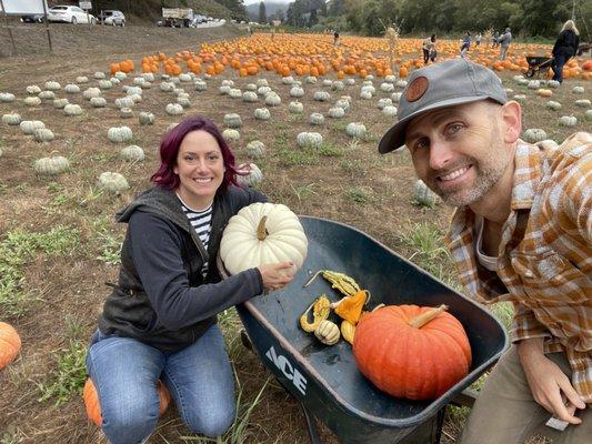 4 C's Pumpkin Patch