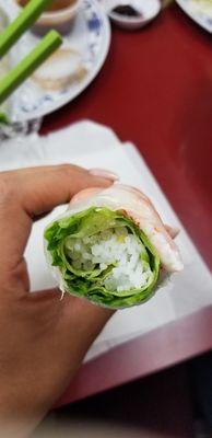 Spring roll close up