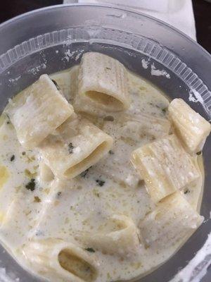 Rigatoni Alfredo