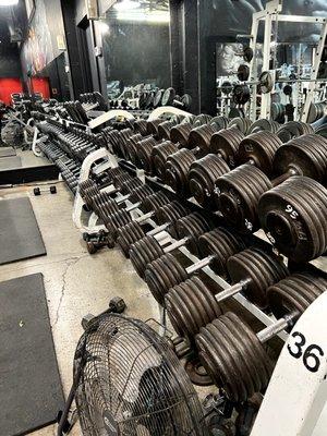 Large selection of free weights and strength training equipment at your neighborhood gym Foster Fitness.