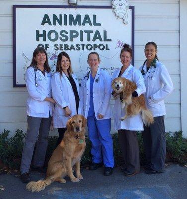 From left to right: Dr. Barbara Farrell, Dr. Charlotte Rockwood, Dr. Gwen Miller, Dr. Nicole Canon, Dr. Jill Hoffman