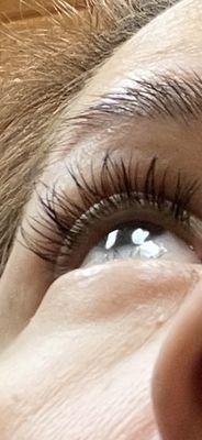 I have never seen eyelashes like this.