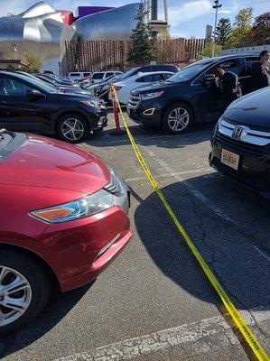 Every car to the left was ticketed for parking in an unmarked "restricted" area in a public parking lots